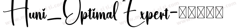 Huni_Optimal Expert字体转换
